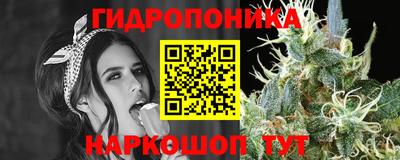 spice Рязань
