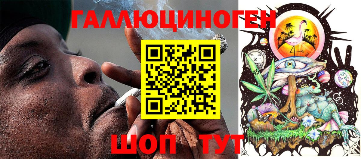 Псилоцибиновые грибы Psilocybine cubensis Сальск