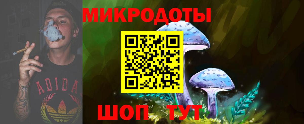 Сальск  Псилоцибиновые грибы Magic Shrooms  Галлюциногенные грибы Psilocybe  Вход с VPN 